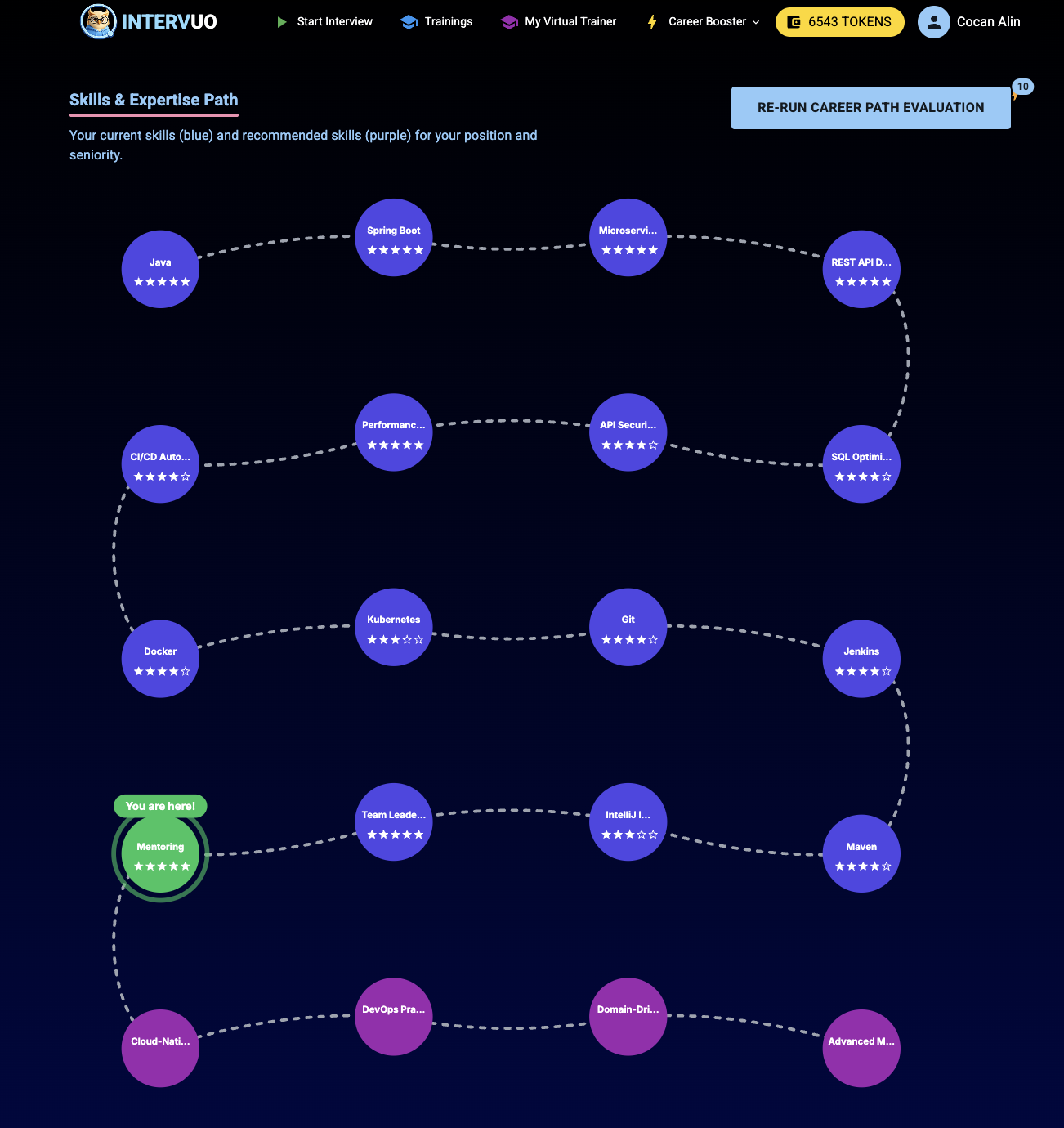 Career path optimization interface showing CV analysis and market relevance recommendations